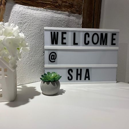 Zentrale Altbauwohnung Mit Flair 슈바비슈할 외부 사진